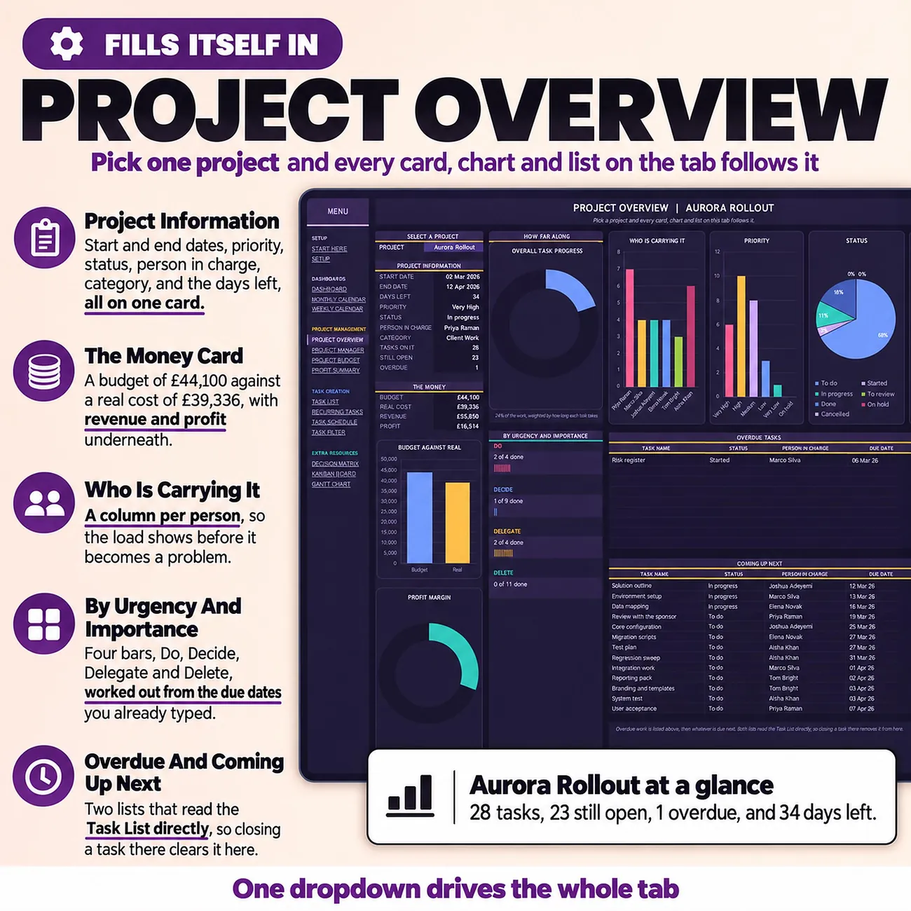Project Overview thumbnail