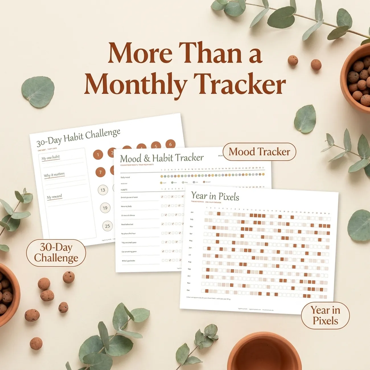 More Than a Monthly Tracker thumbnail