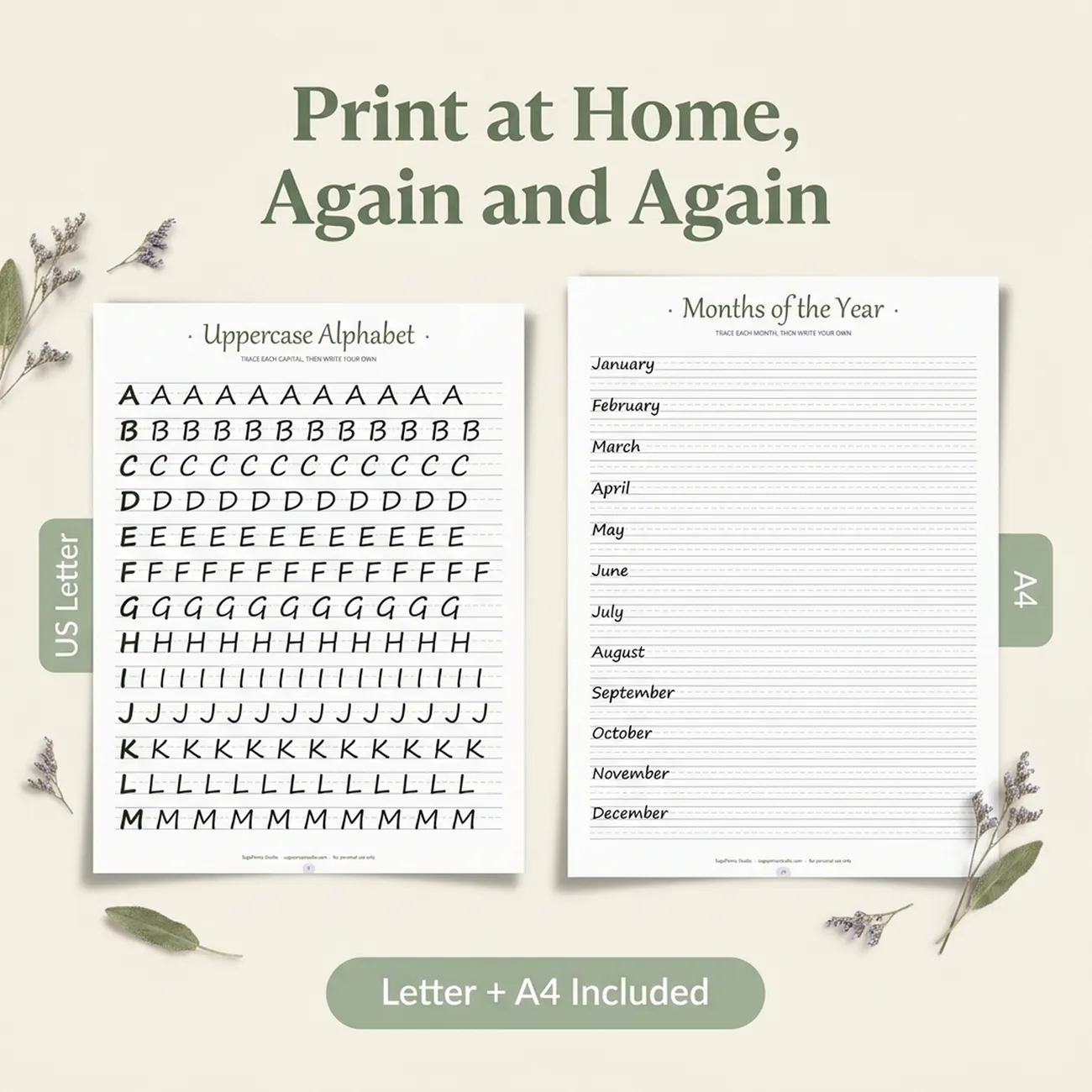 Letter + A4 Included thumbnail
