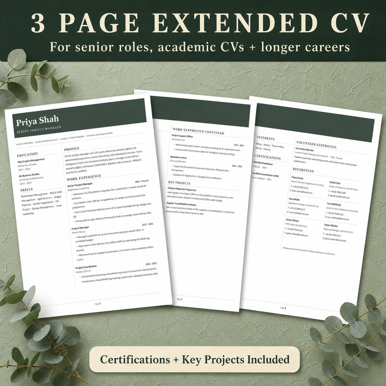 3 Page Extended CV thumbnail