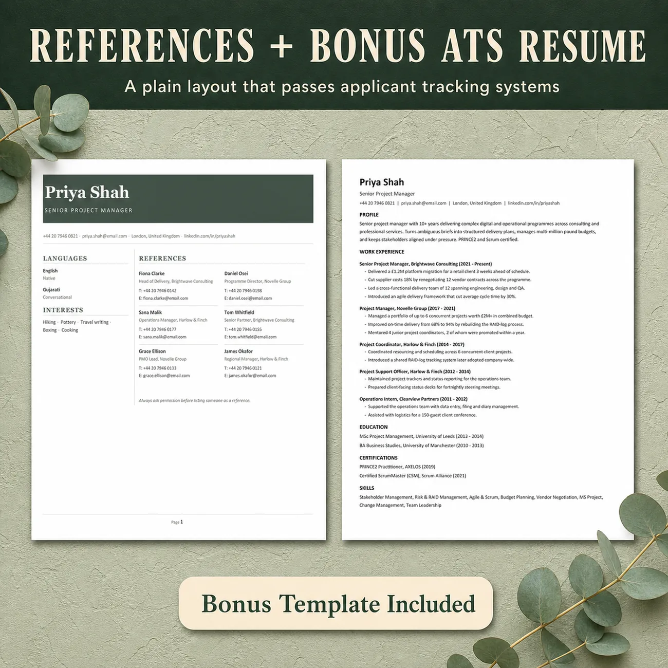 Bonus ATS-Friendly Resume thumbnail